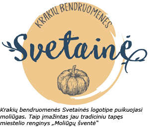 Web-svetaines-logotipas